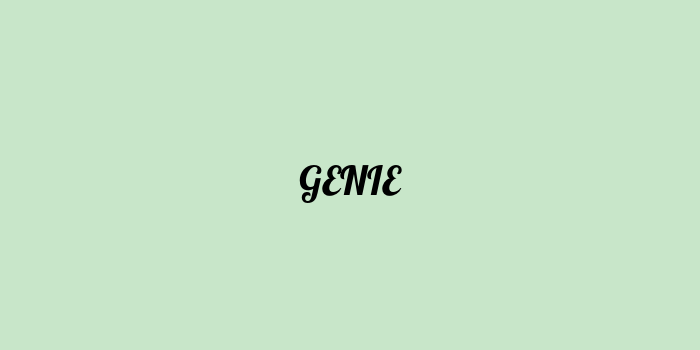 Free AI based Genie code generator online